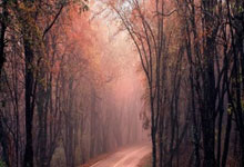 2025乐鱼体育网站入口梦幻大战！世界足球领军者集结国际友谊赛