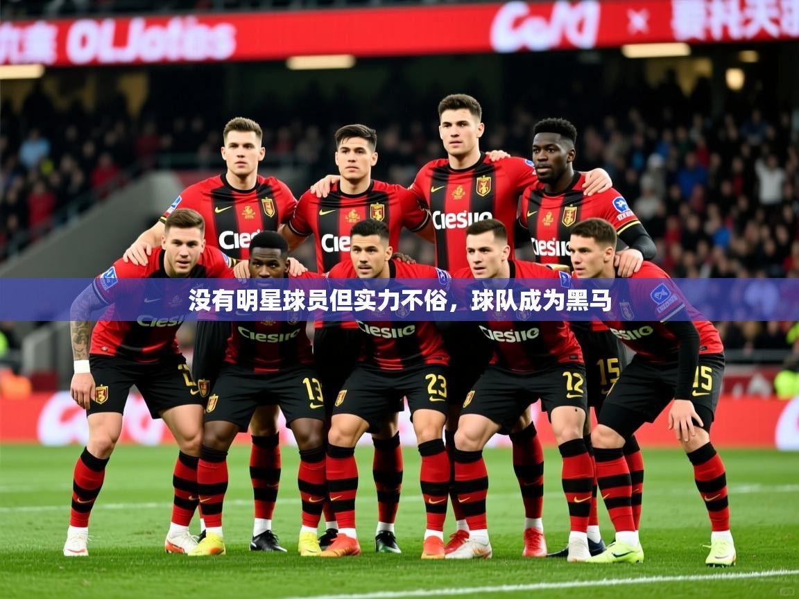2026乐鱼体育官网在线登录入口没有明星球员但实力不俗,球队成为黑马 第3张